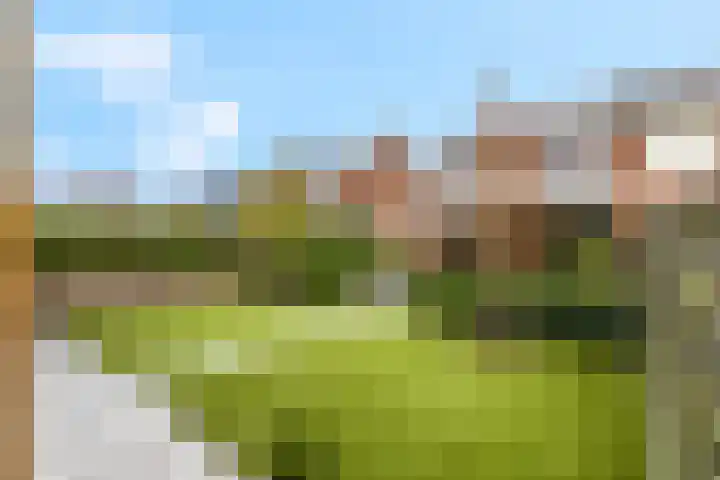Scharenburg 33 Zoelen thumbnail 46