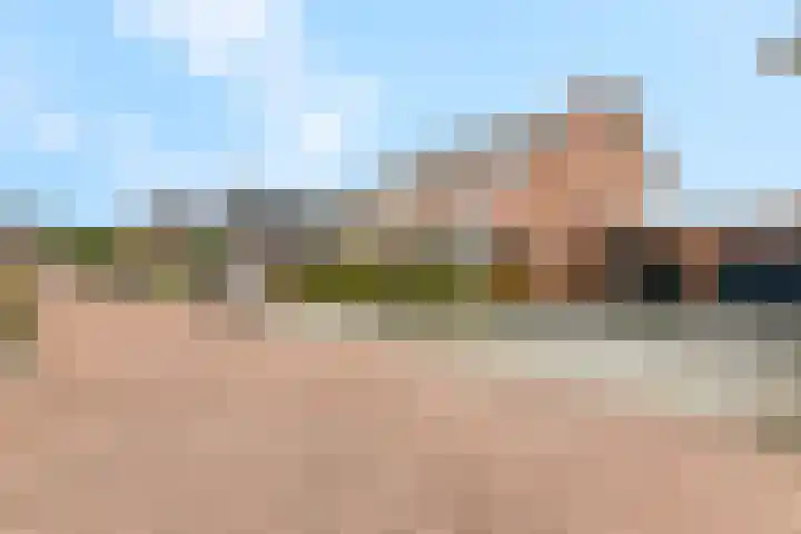 Scharenburg 33 Zoelen thumbnail 52