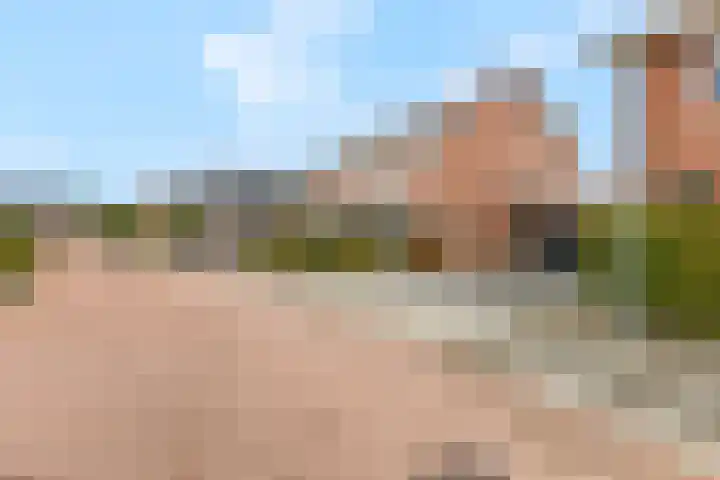Scharenburg 33 Zoelen thumbnail 54