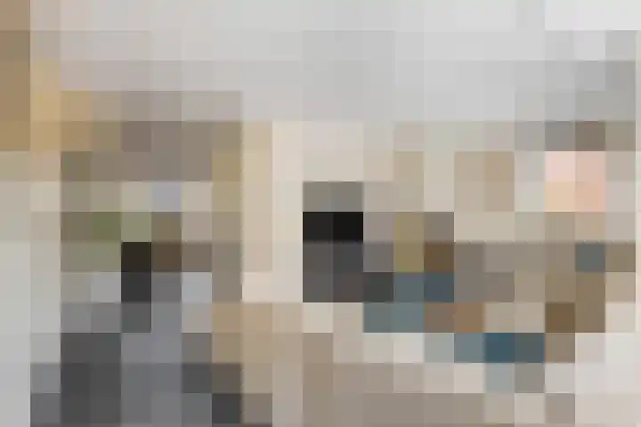 Scharenburg 33 Zoelen thumbnail 9