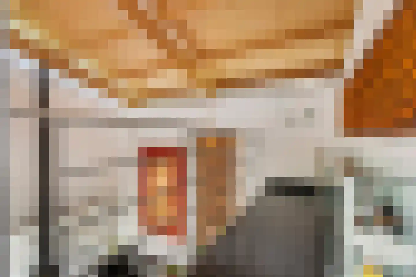 Scharenburgsestraat 11 Puiflijk thumbnail 24