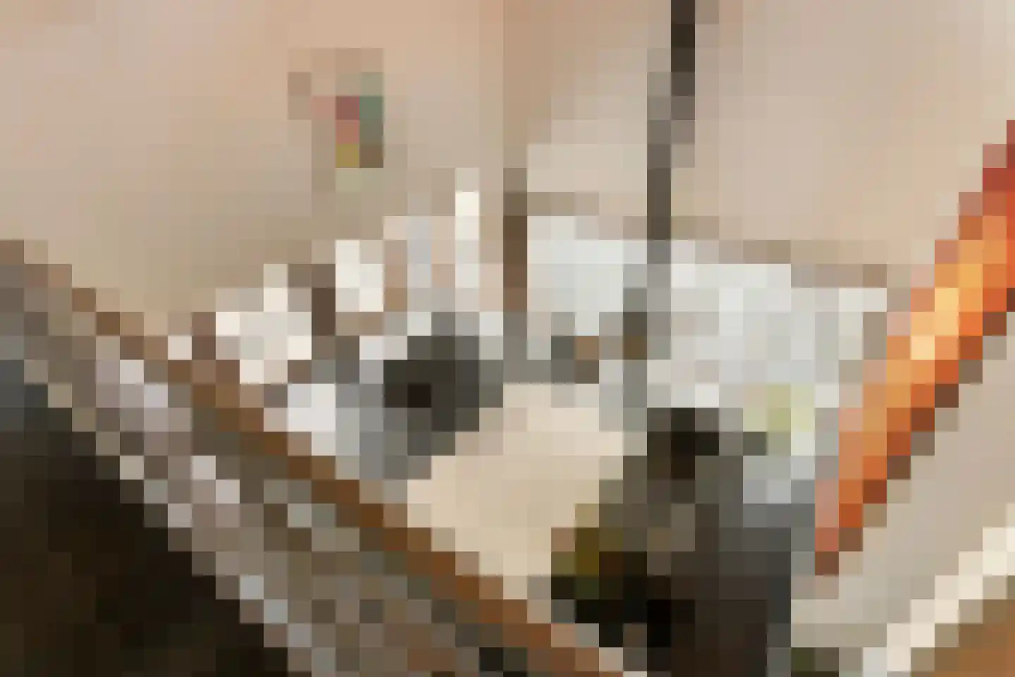 Scharenburgsestraat 11 Puiflijk thumbnail 25