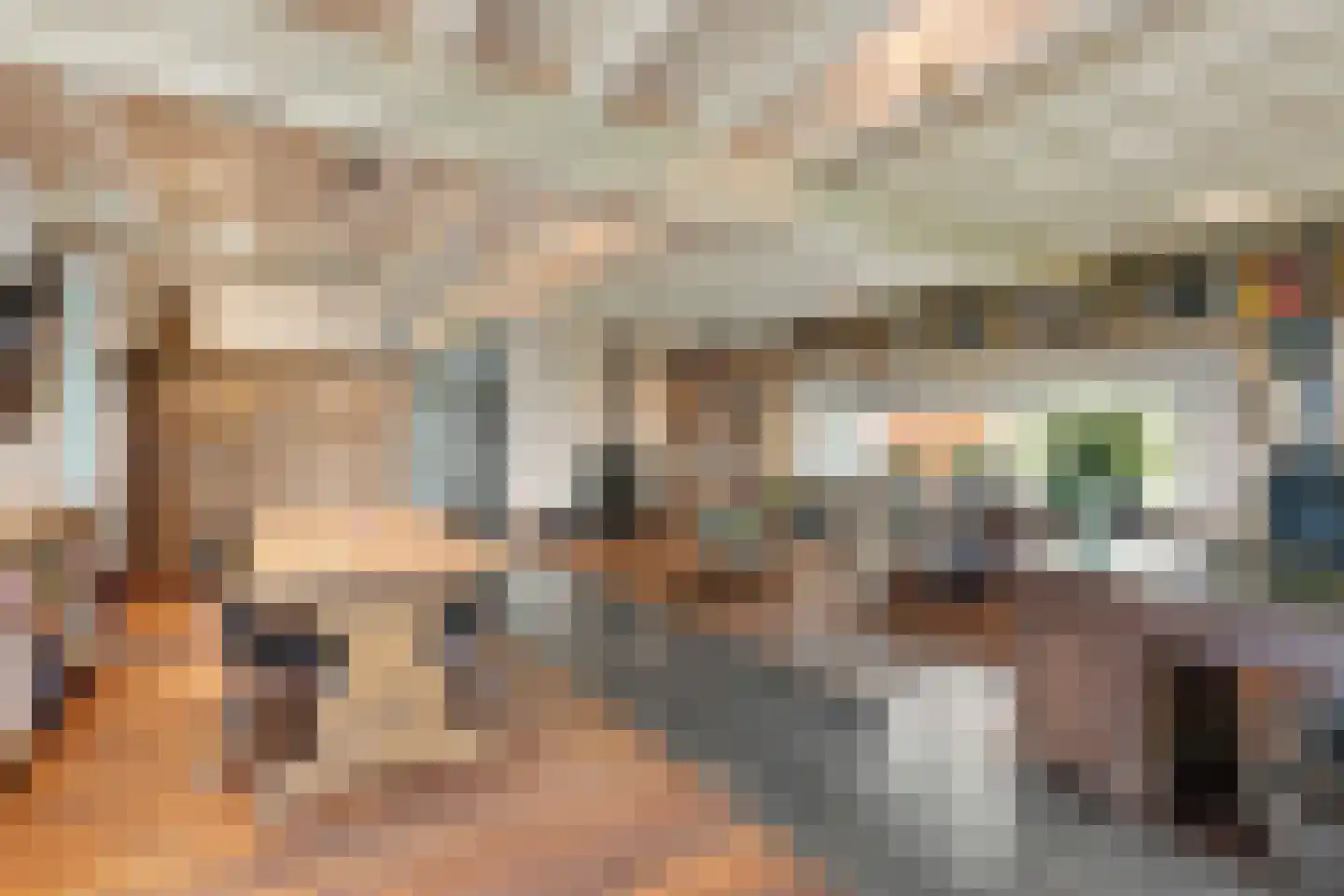 Scharenburgsestraat 11 Puiflijk thumbnail 31