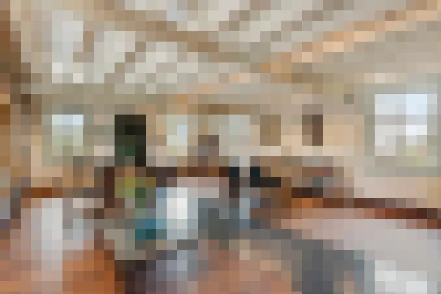 Scharenburgsestraat 11 Puiflijk thumbnail 32