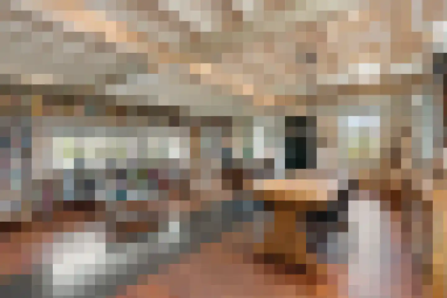 Scharenburgsestraat 11 Puiflijk thumbnail 33