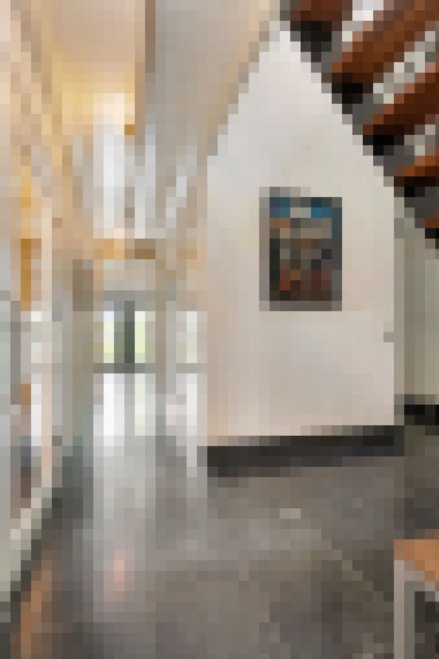 Scharenburgsestraat 11 Puiflijk thumbnail 36