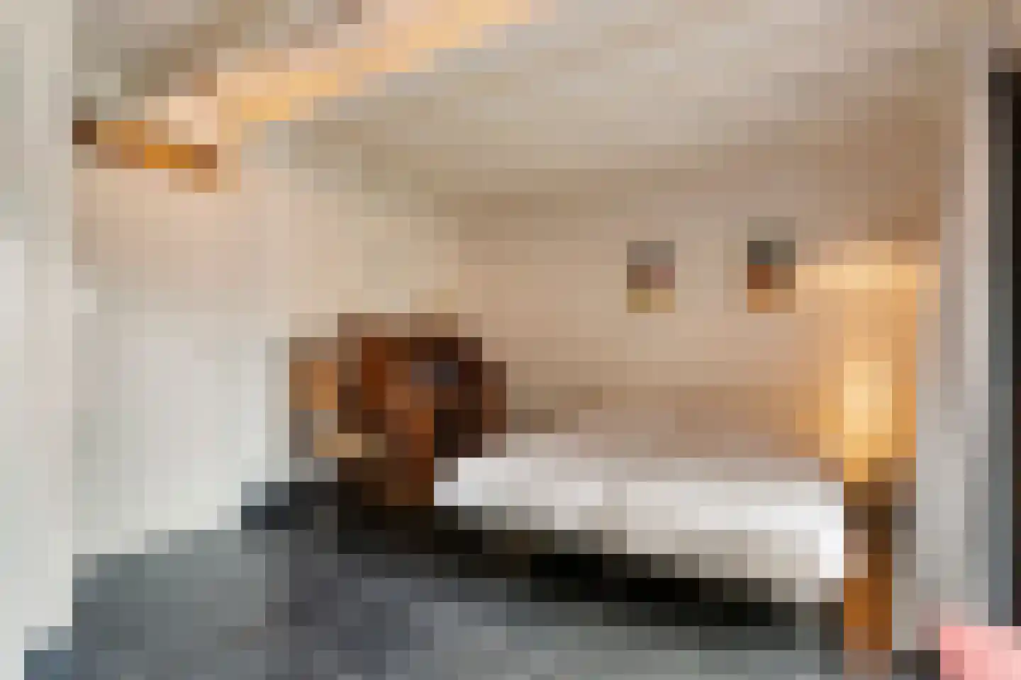 Scharenburgsestraat 11 Puiflijk thumbnail 39