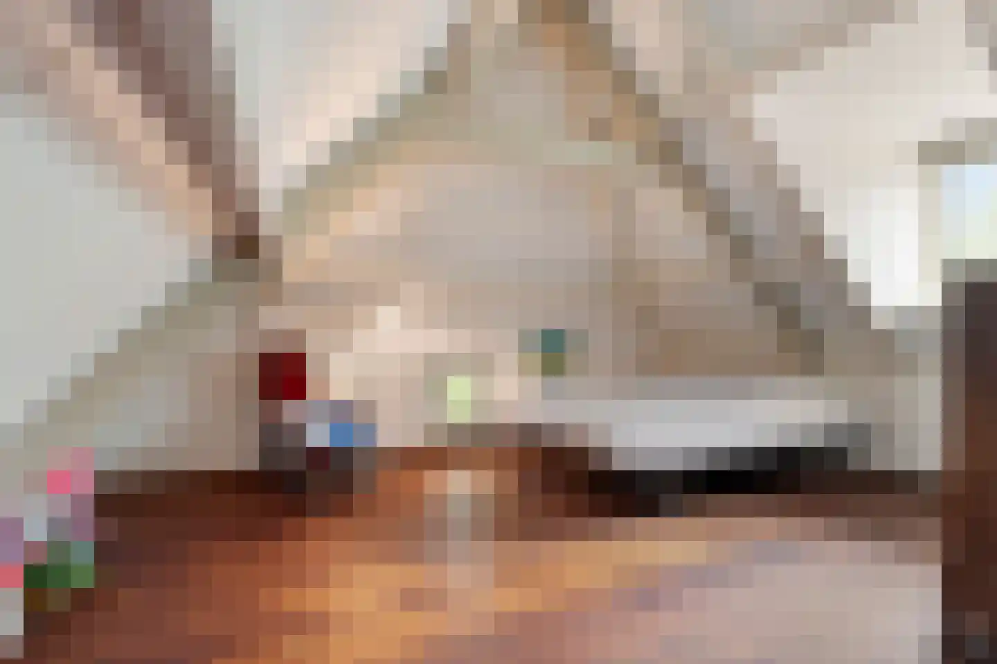 Scharenburgsestraat 11 Puiflijk thumbnail 46