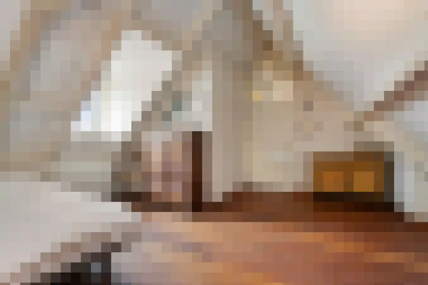 Scharenburgsestraat 11 Puiflijk thumbnail 47