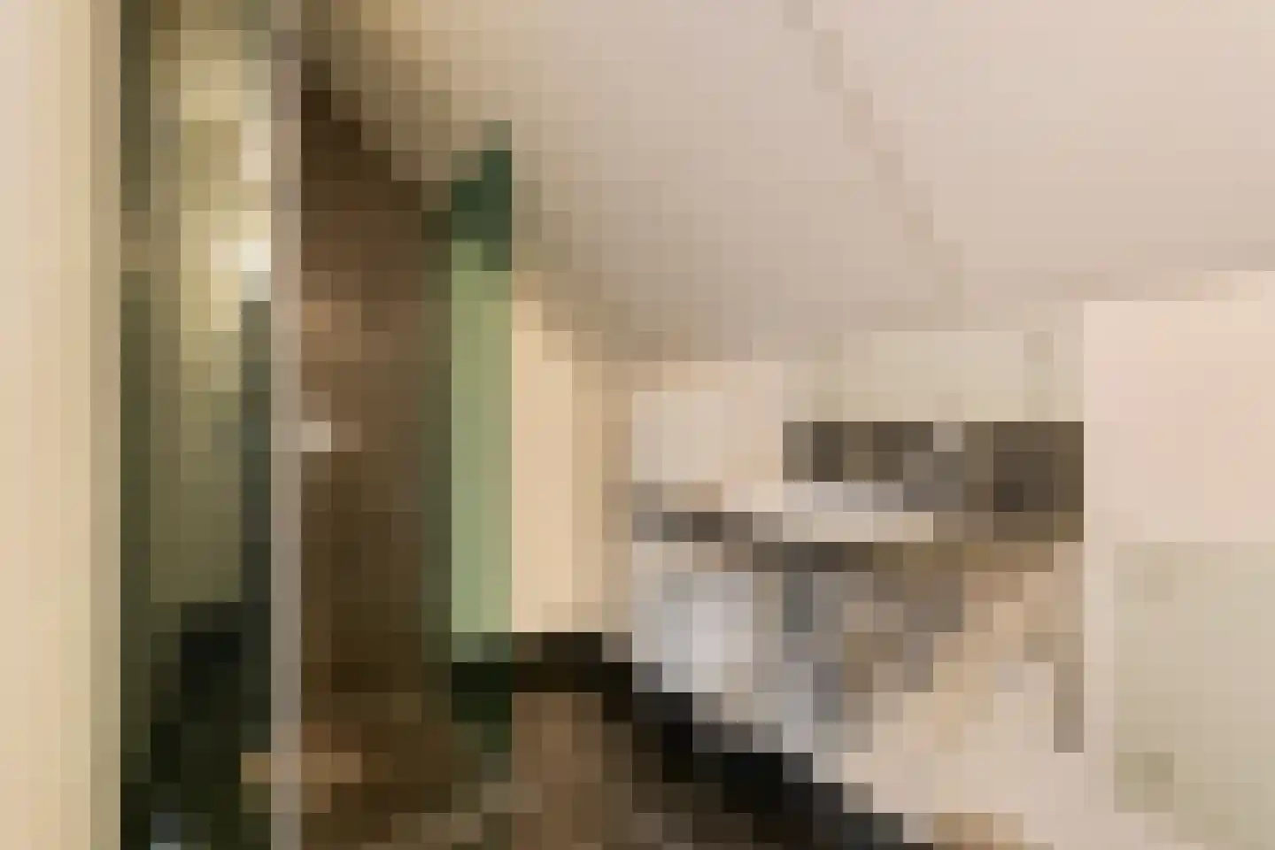 Scharenburgsestraat 11 Puiflijk thumbnail 48