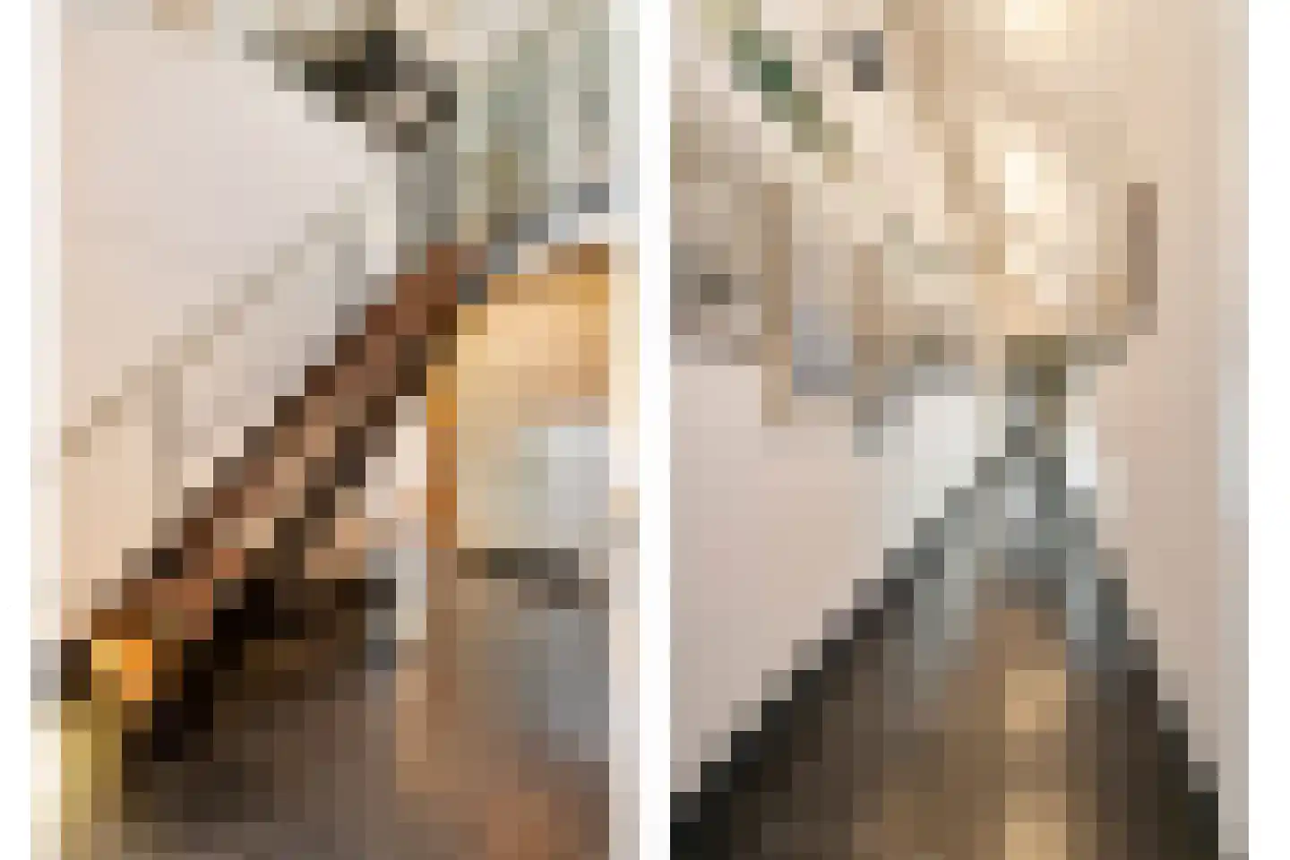 Scharenburgsestraat 11 Puiflijk thumbnail 5