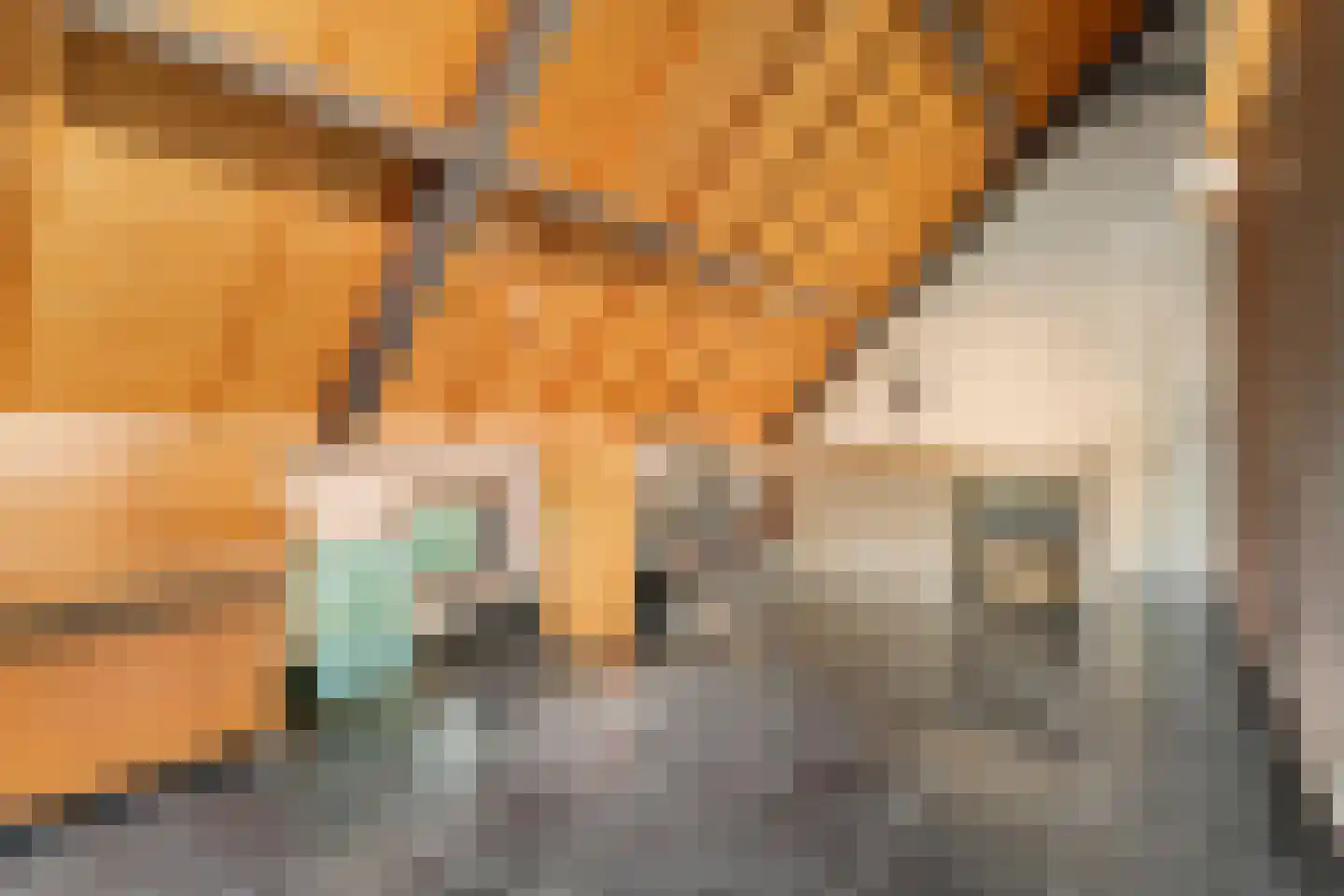 Scharenburgsestraat 11 Puiflijk thumbnail 51