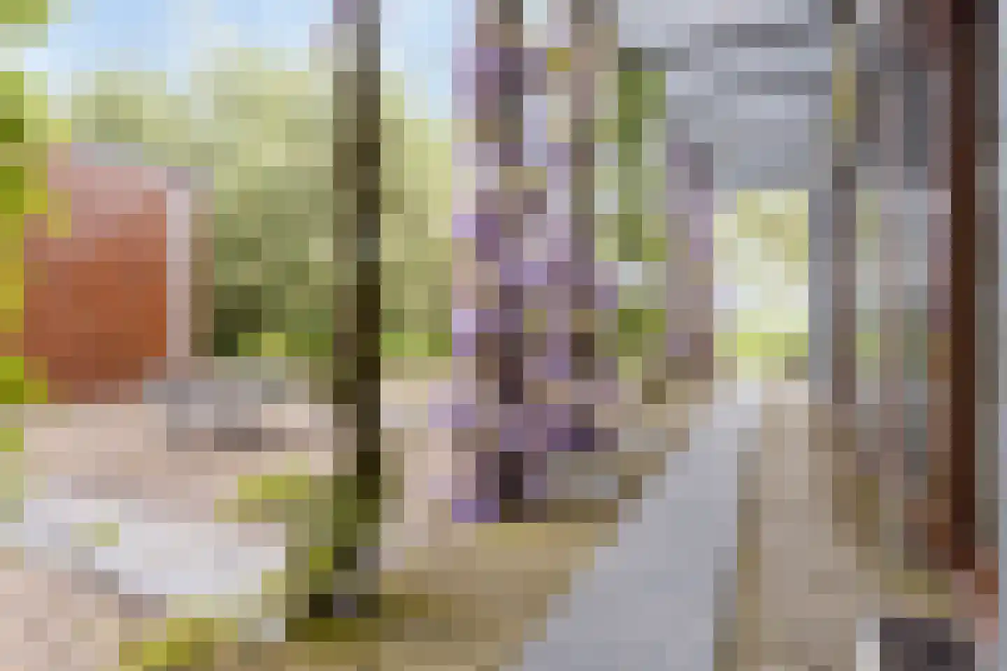 Scharenburgsestraat 11 Puiflijk thumbnail 59