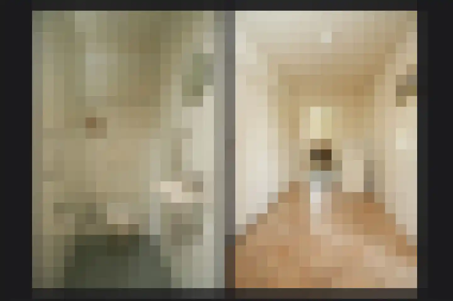 Scharenburgsestraat 16 Puiflijk thumbnail 14