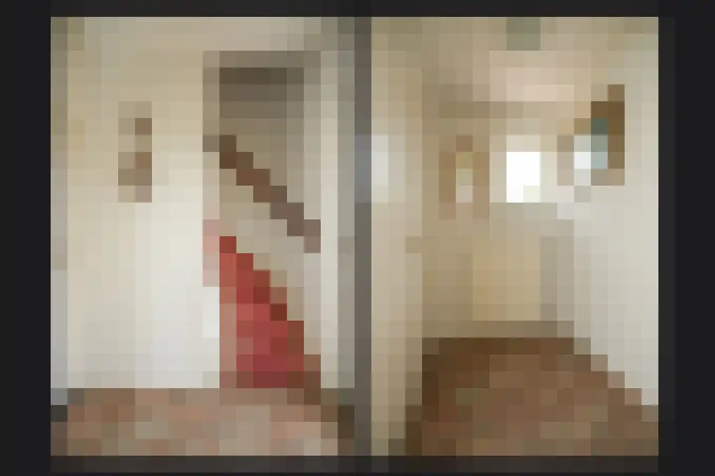 Scharenburgsestraat 16 Puiflijk thumbnail 19
