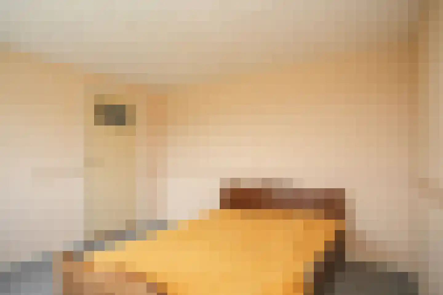Scharenburgsestraat 16 Puiflijk thumbnail 21