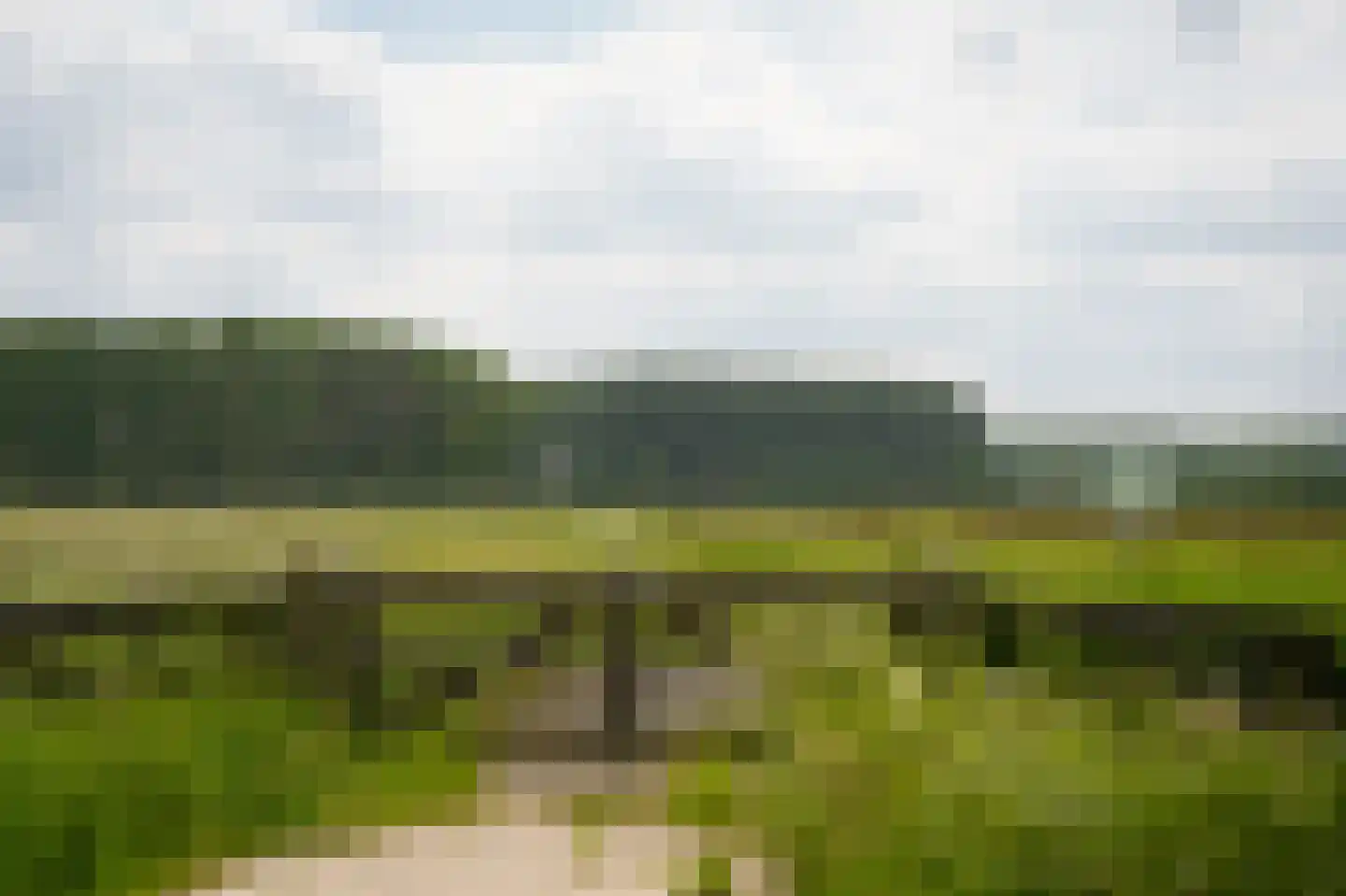 Scharenburgsestraat 16 Puiflijk thumbnail 30