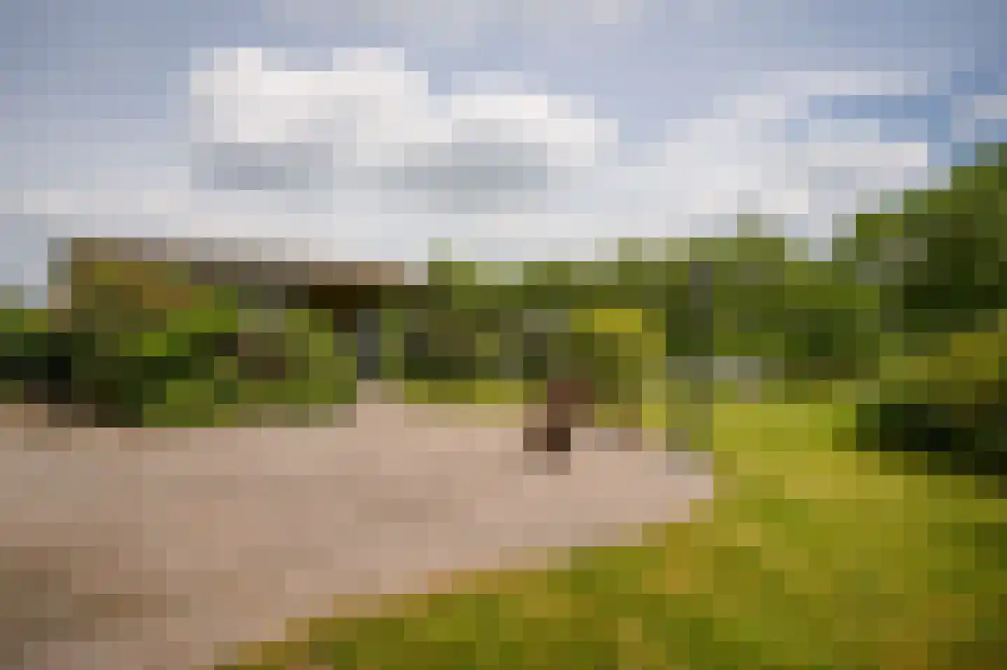 Scharenburgsestraat 16 Puiflijk thumbnail 31
