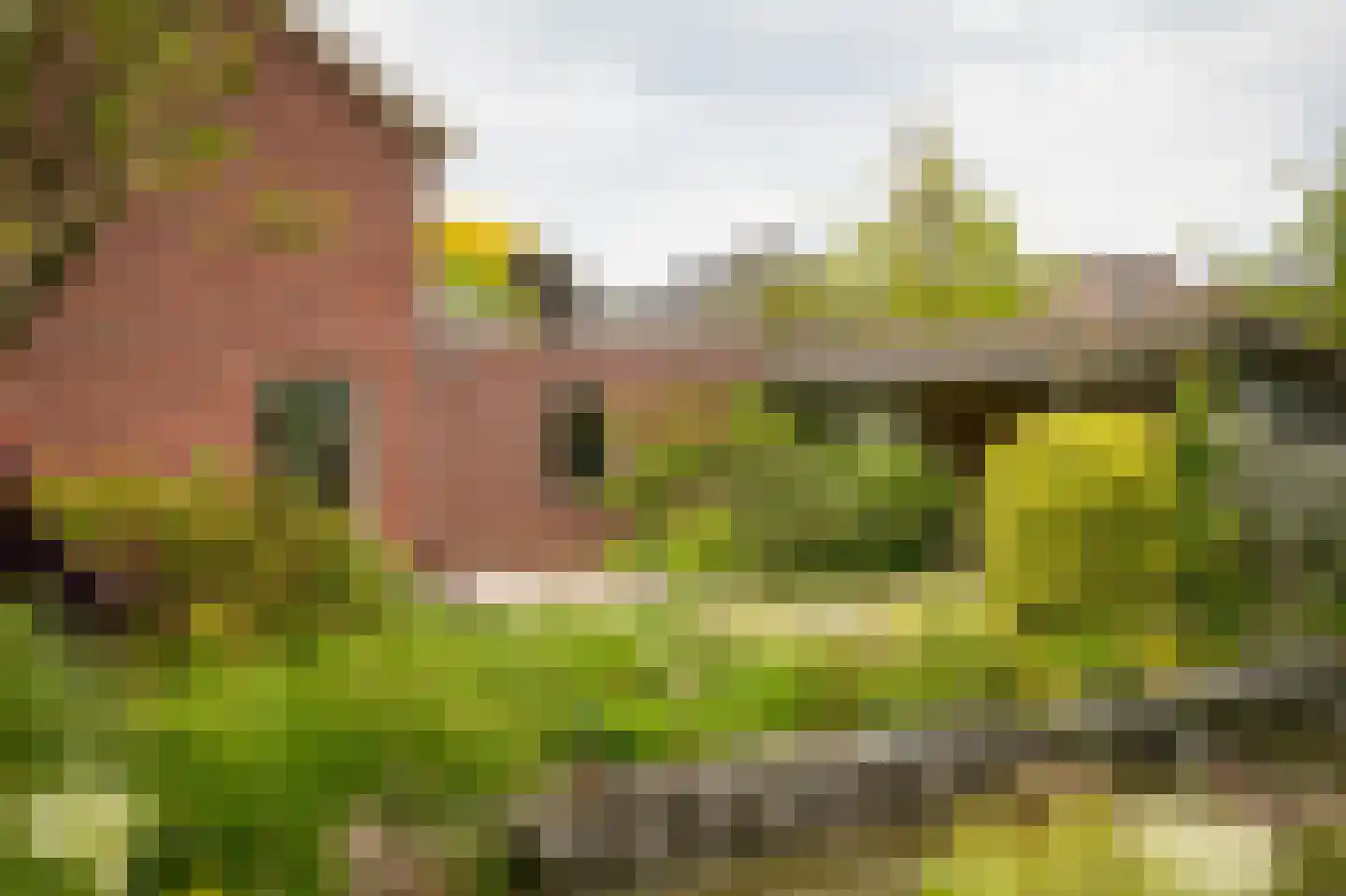 Scharenburgsestraat 16 Puiflijk thumbnail 44