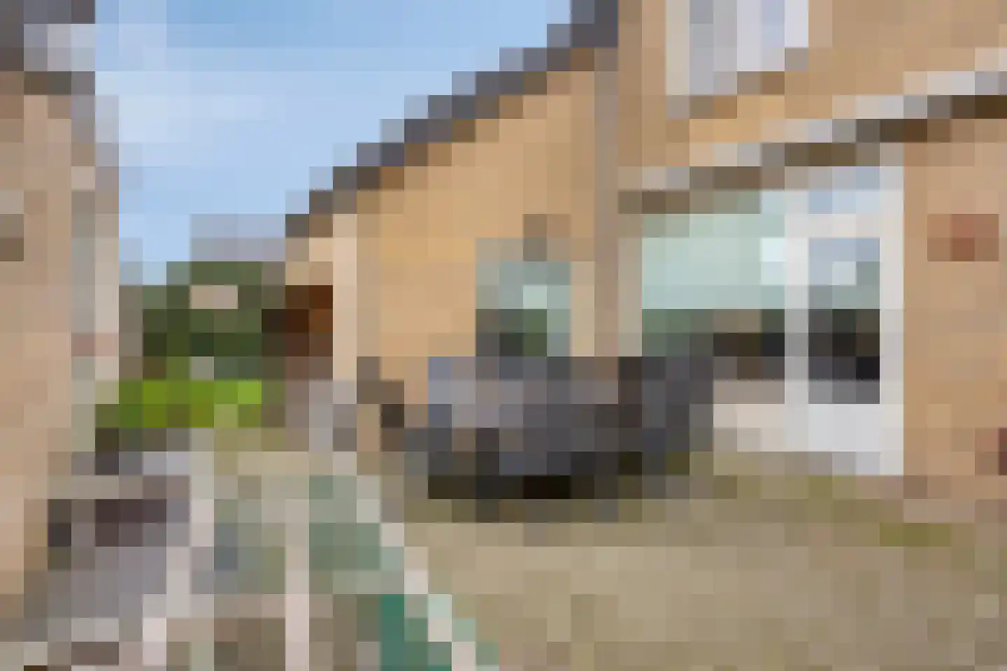 Scharenweg 10 Panningen thumbnail 34