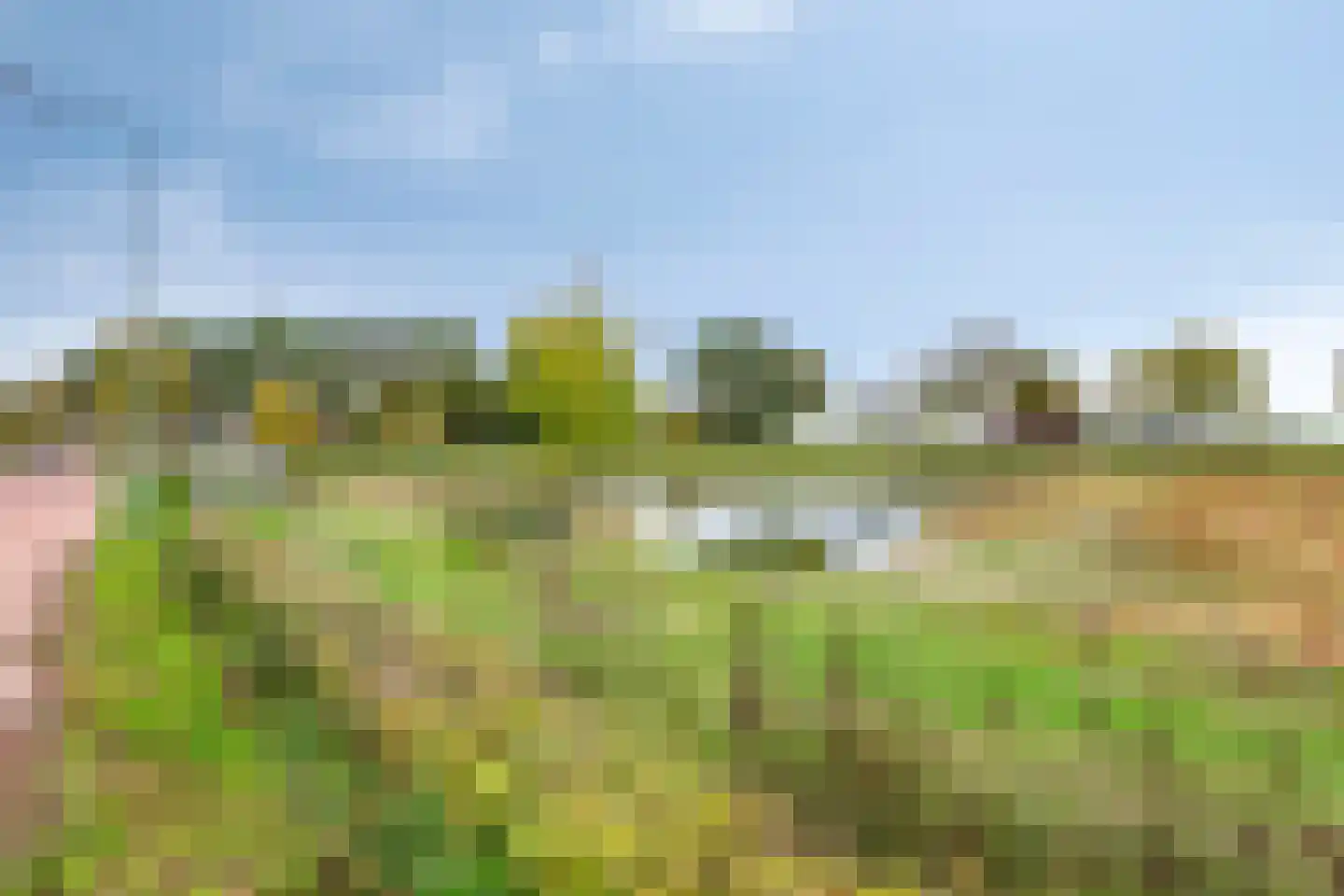 Scharenweg 10 Panningen thumbnail 46