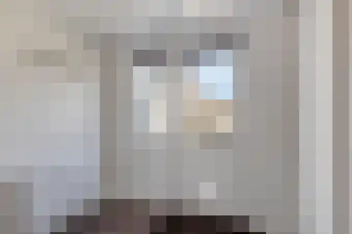 Scharftlaan 6 Roden thumbnail 17