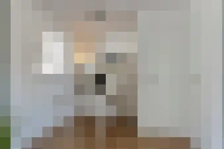 Scharftlaan 6 Roden thumbnail 18