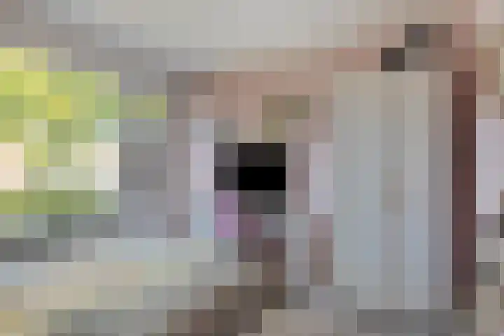 Scharftlaan 6 Roden thumbnail 26