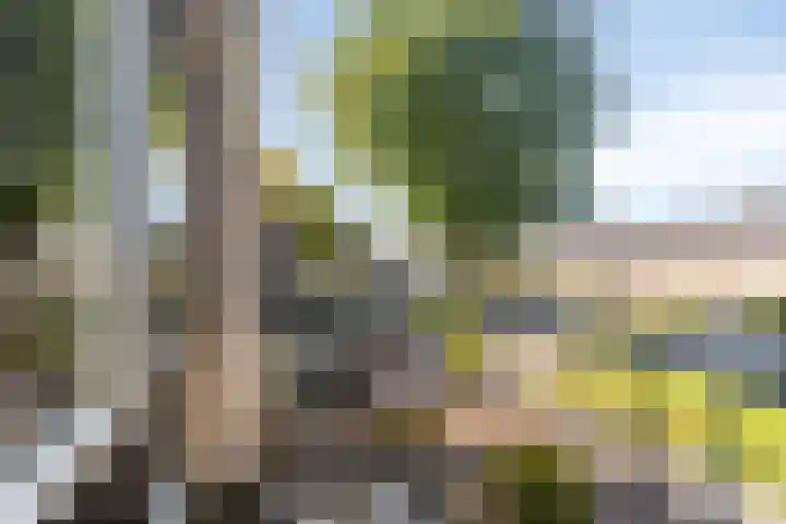 Scharftlaan 6 Roden thumbnail 29