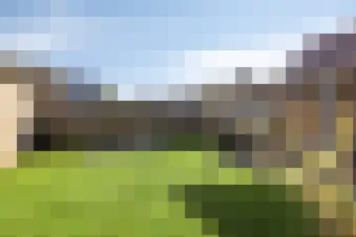 Scharftlaan 6 Roden thumbnail 38