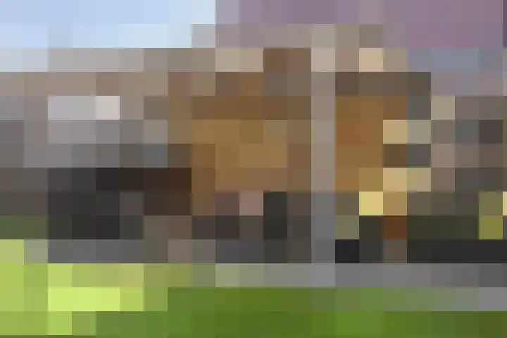 Scharftlaan 6 Roden thumbnail 39