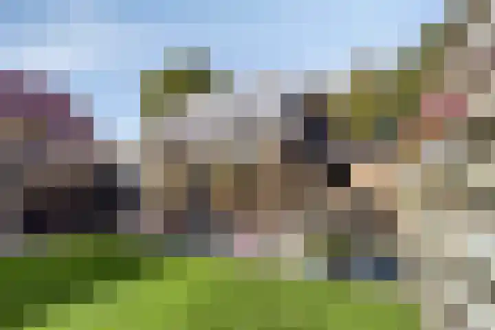 Scharftlaan 6 Roden thumbnail 40