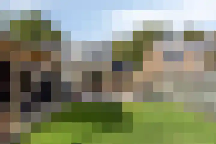 Scharftlaan 6 Roden thumbnail 42
