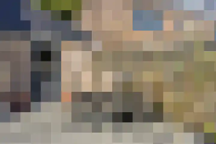 Scharftlaan 6 Roden thumbnail 43