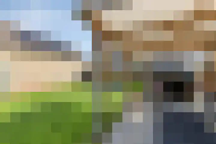 Scharftlaan 6 Roden thumbnail 45