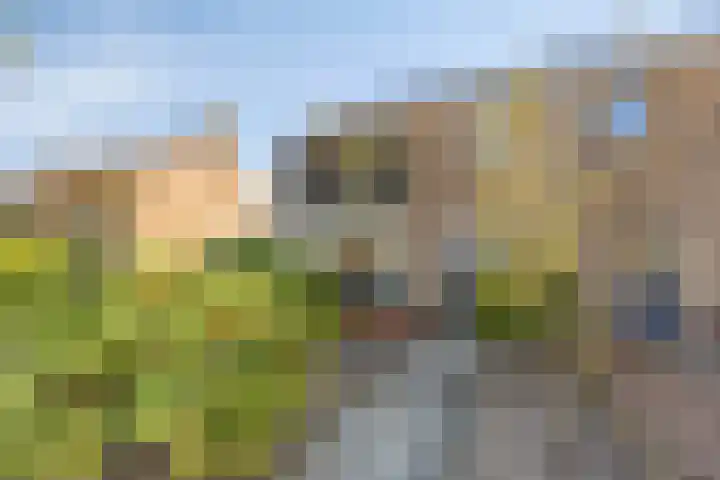 Scharftlaan 6 Roden thumbnail 46