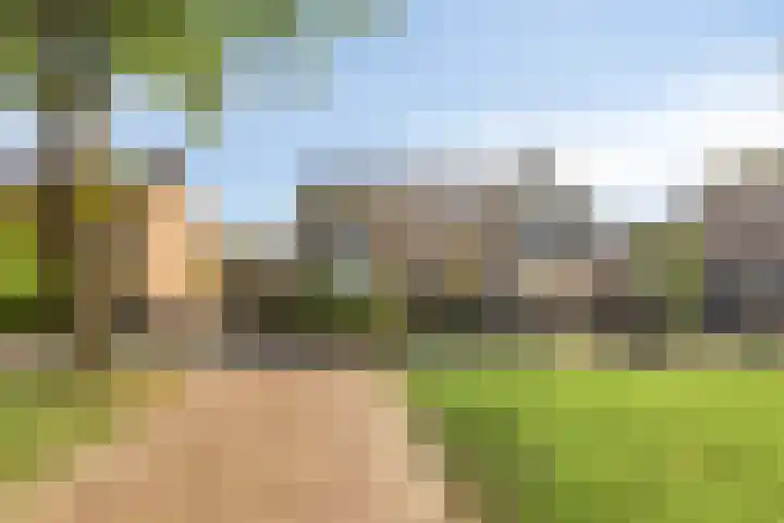 Scharftlaan 6 Roden thumbnail 47