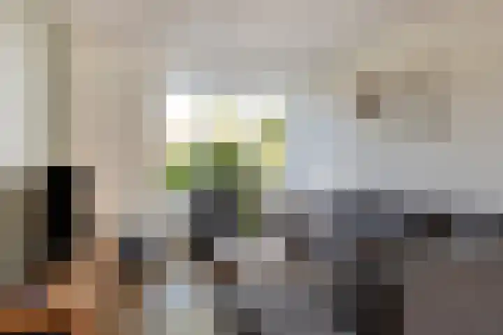 Scharftlaan 6 Roden thumbnail 6