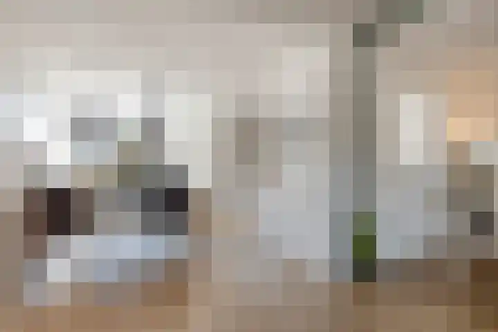 Scharftlaan 6 Roden thumbnail 9