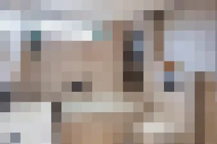 Scharlakenbes 9 Leiden thumbnail 15