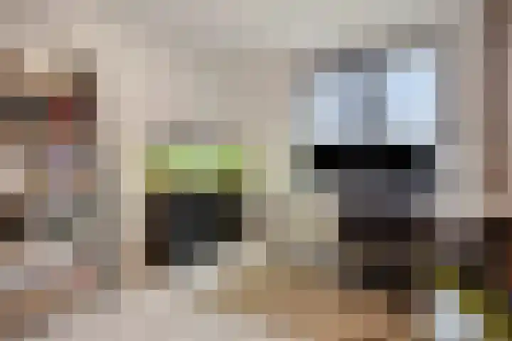 Scharlakenbes 9 Leiden thumbnail 18