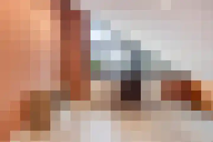 Scharlakenbes 9 Leiden thumbnail 23
