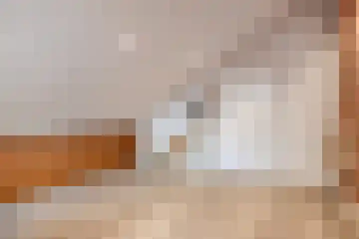 Scharlakenbes 9 Leiden thumbnail 24