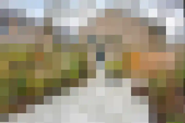 Scharlakenbes 9 Leiden thumbnail 26