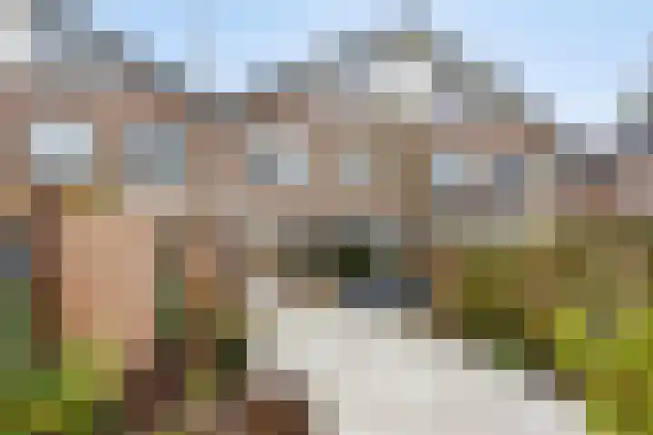 Scharlakenbes 9 Leiden thumbnail 27