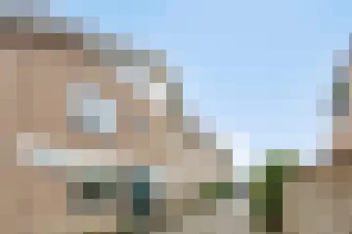 Scharlakenbes 9 Leiden thumbnail 29