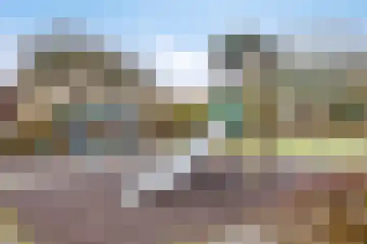 Scharlakenbes 9 Leiden thumbnail 30