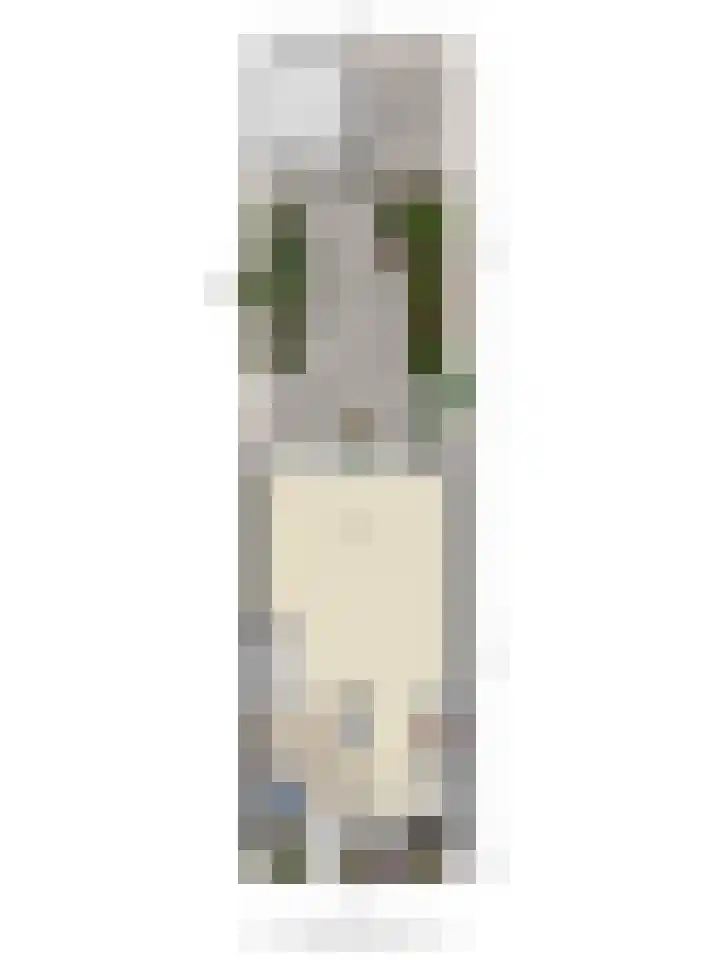 Scharlakenbes 9 Leiden thumbnail 32