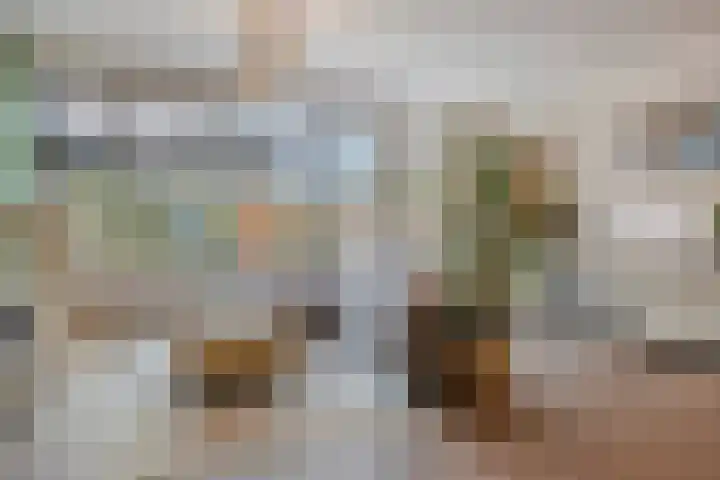Scharlakenbes 9 Leiden thumbnail 4