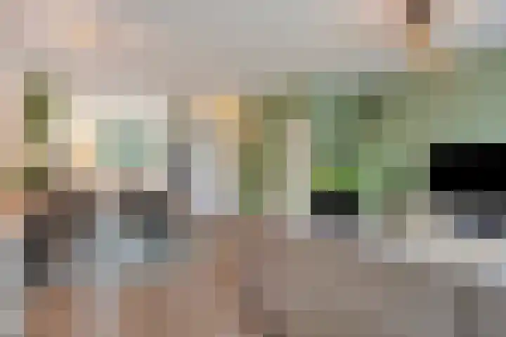 Scharlakenbes 9 Leiden thumbnail 5